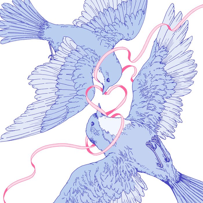 BIBI ·《행복에게 (Bluebird)》