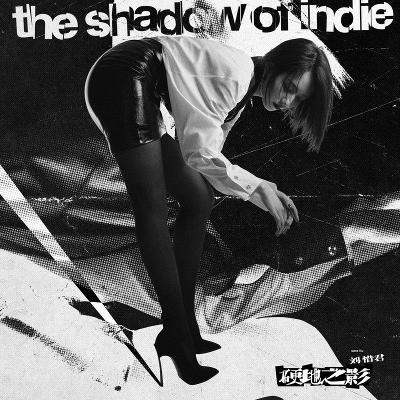刘惜君-《硬地之影》