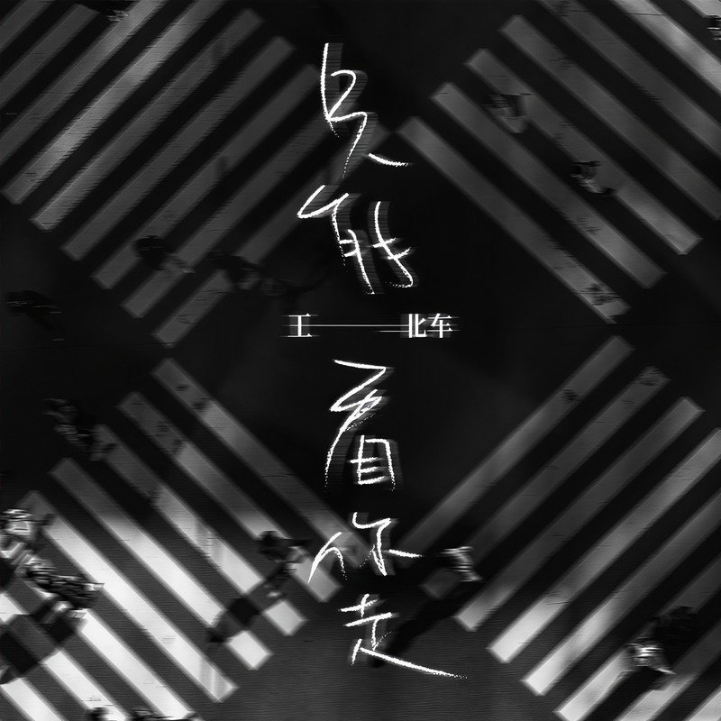 王北车-《只能看你走》