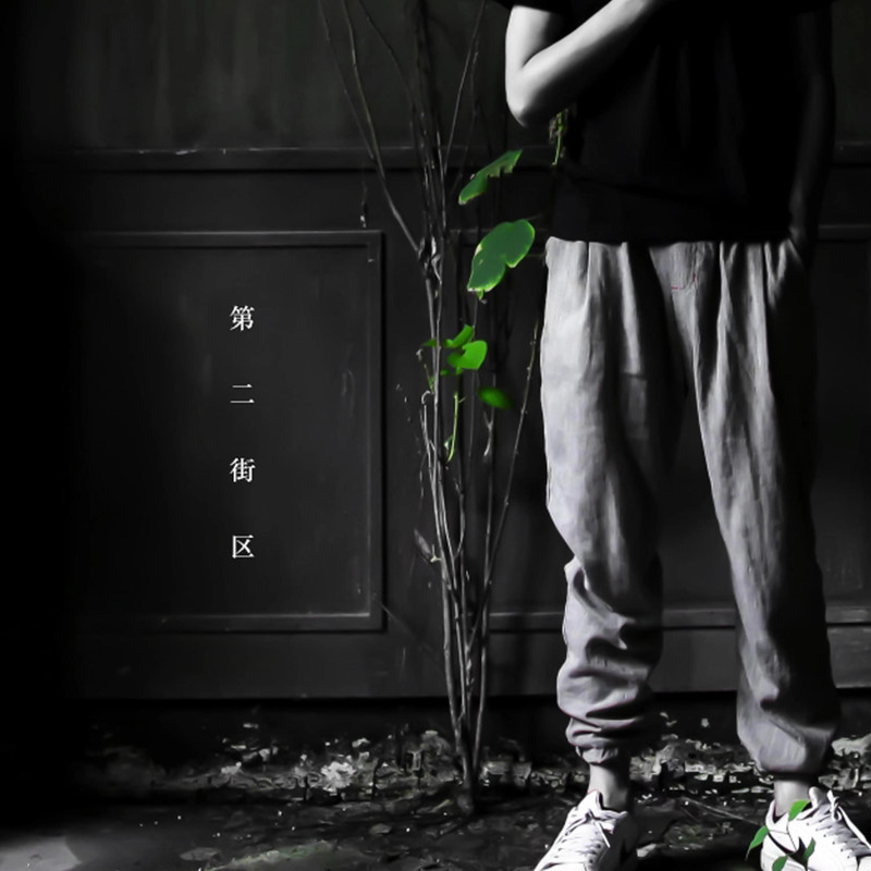 葛东琪-《第二街区》