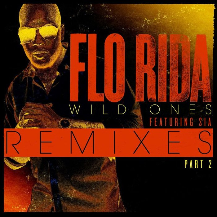 Sia-《Wild Ones (Remixes Pt_ 2)》
