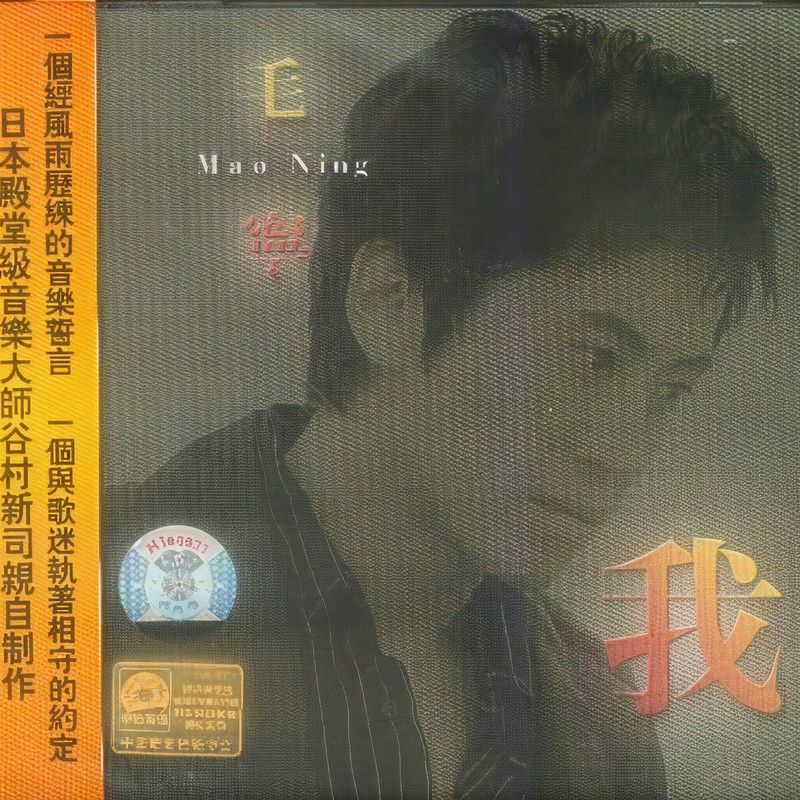 毛宁-《我》