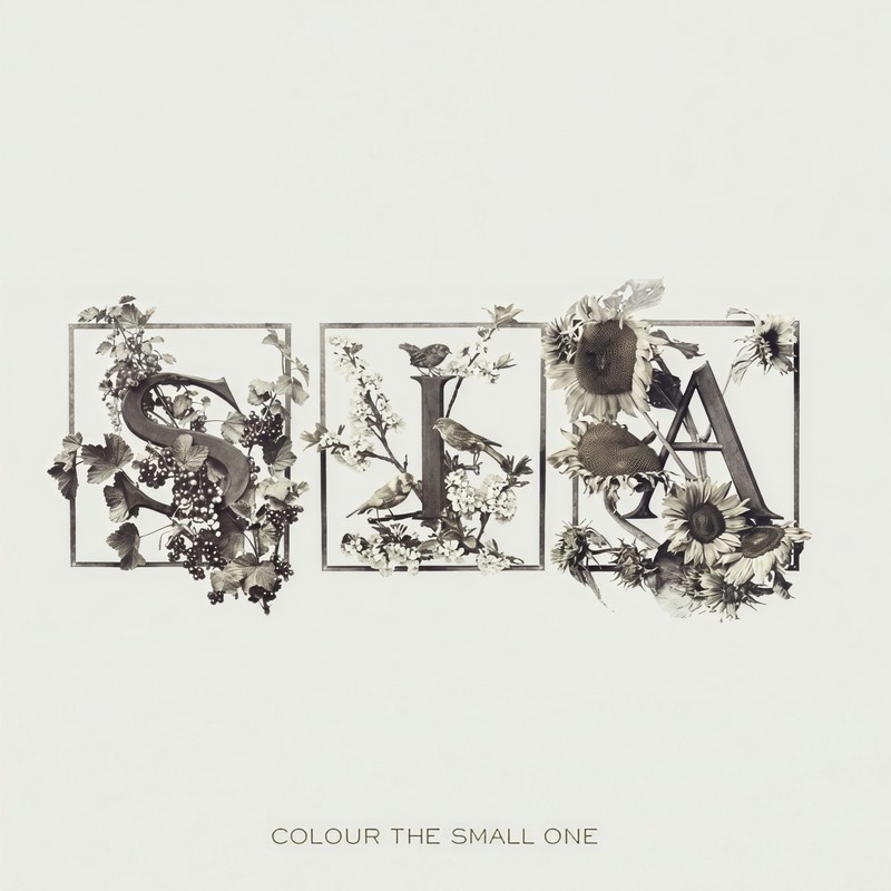 Sia-《Colour the Small One》