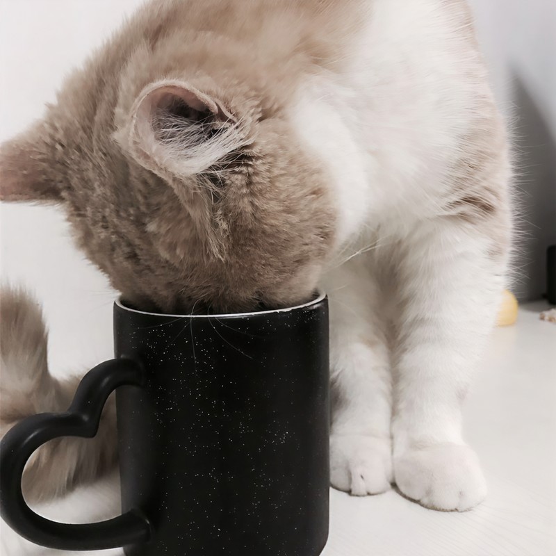 花粥-《2017 (一)》