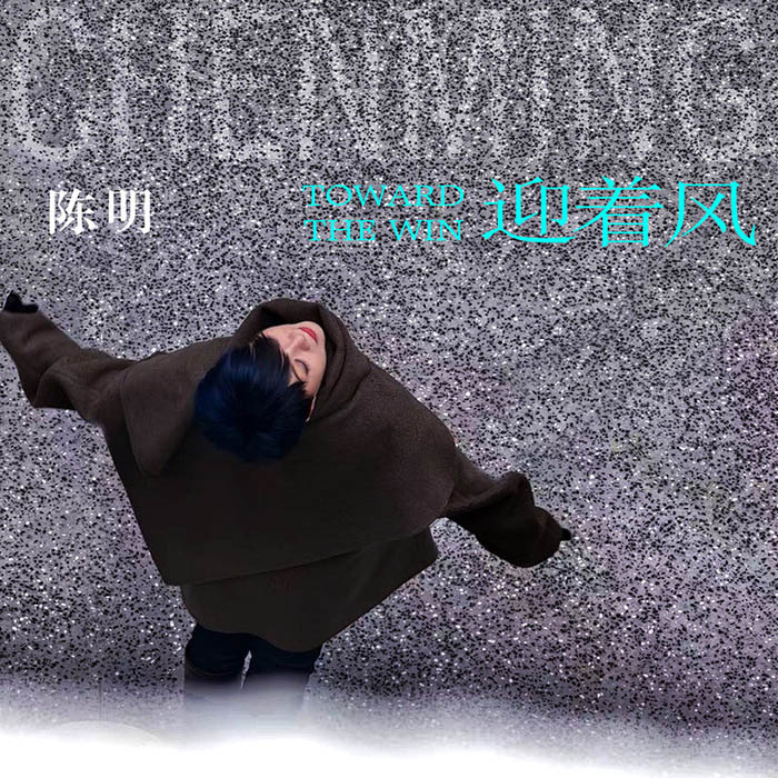 陈明-《迎着风》