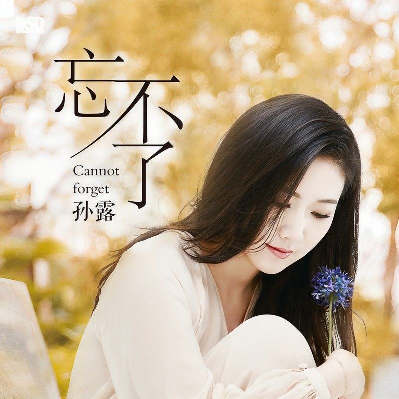 孙露-《忘不了》