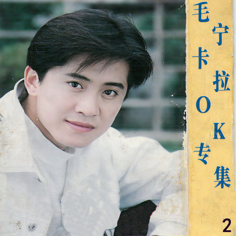 毛宁-《毛宁卡拉OK专集 2》