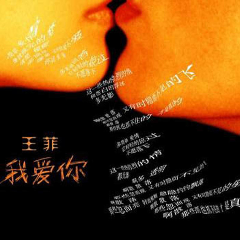 王菲-《我爱你》