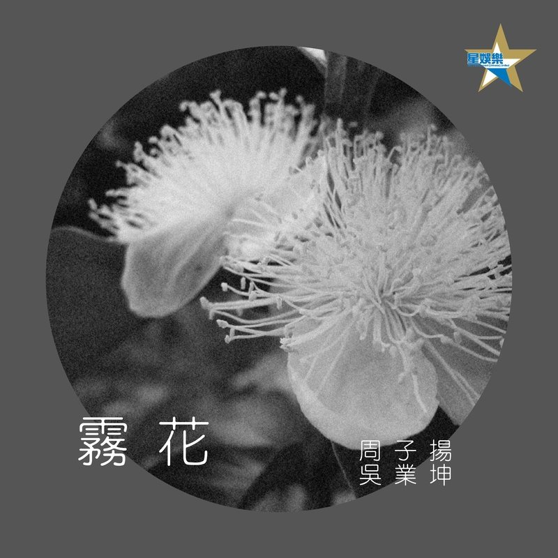 吴业坤-《雾花》