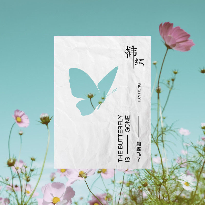 韩红-《蝴蝶飞了》