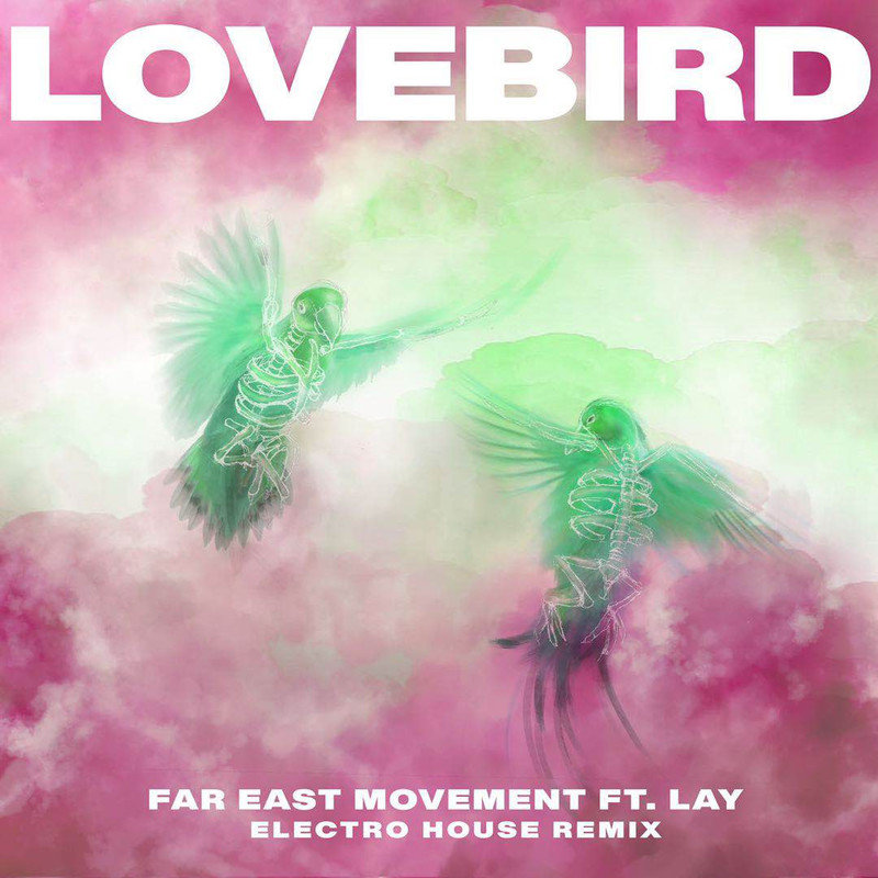 张艺兴-《Lovebird》