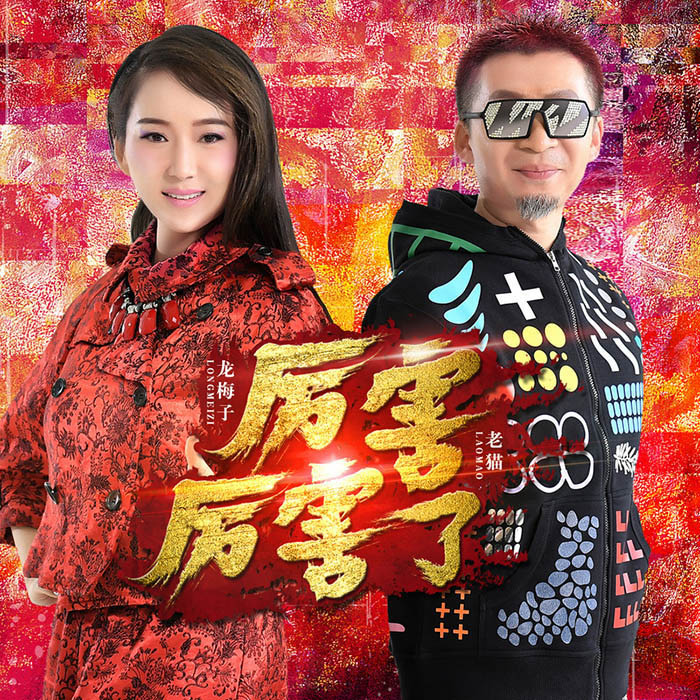 龙梅子-《厉害厉害了》