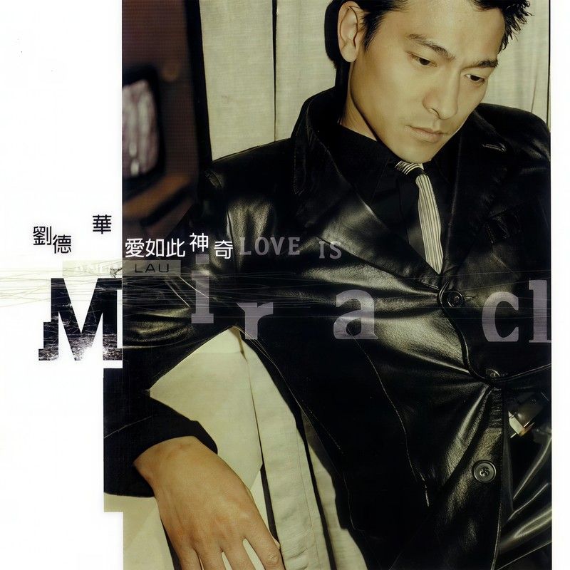 刘德华-《爱如此神奇》