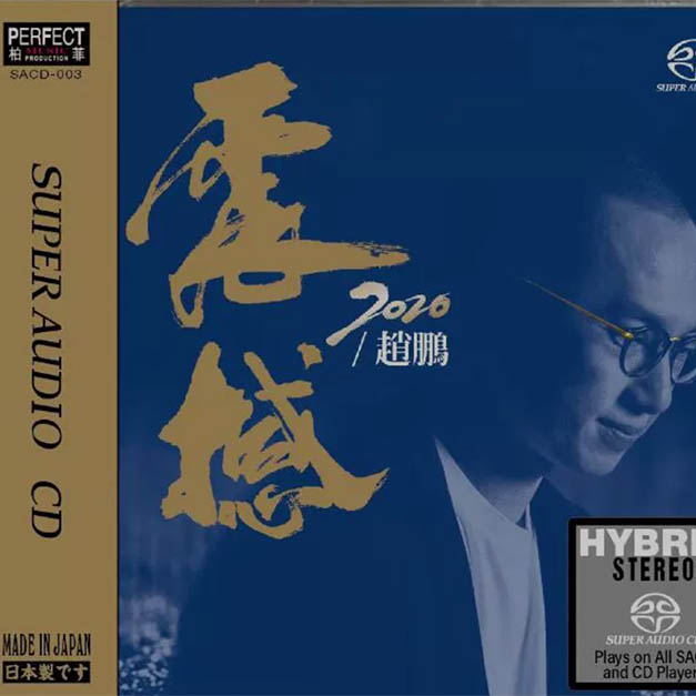 赵鹏《震撼2020》