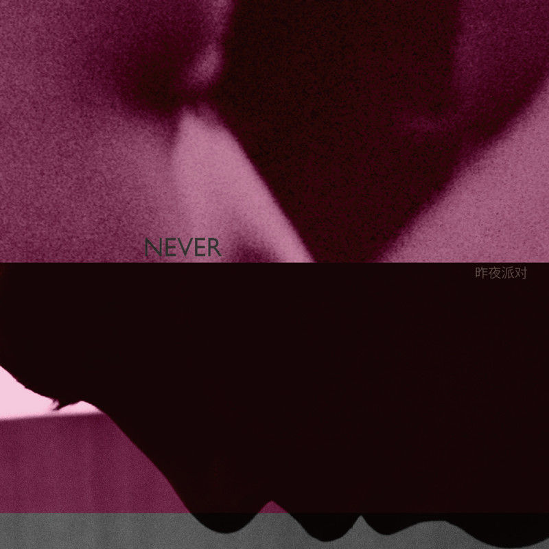 昨夜派对（L_N Party）-《Never》