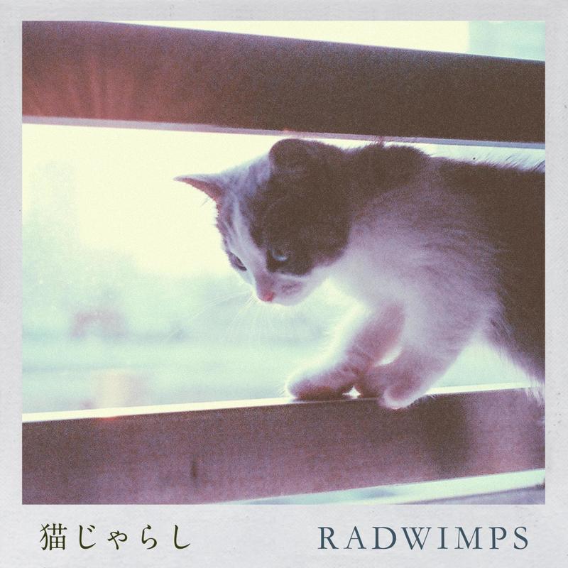 RADWIMPS-《猫じゃらし》