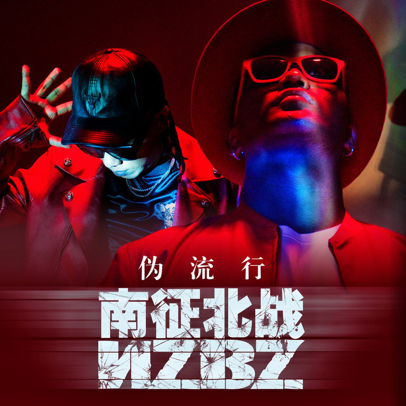 南征北战NZBZ-《伪流行》