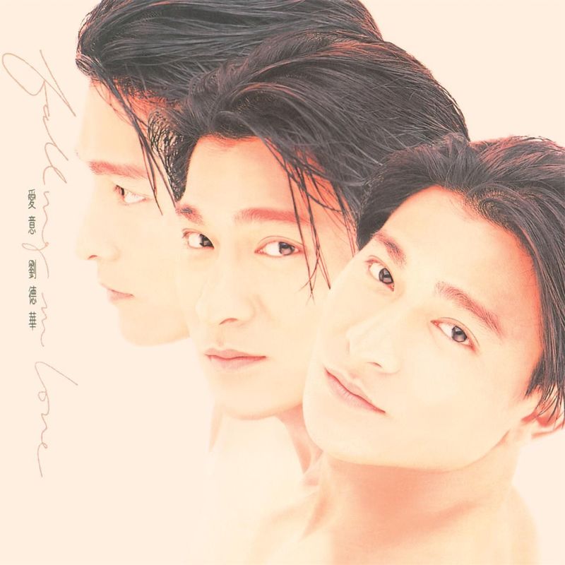 刘德华-《爱意》