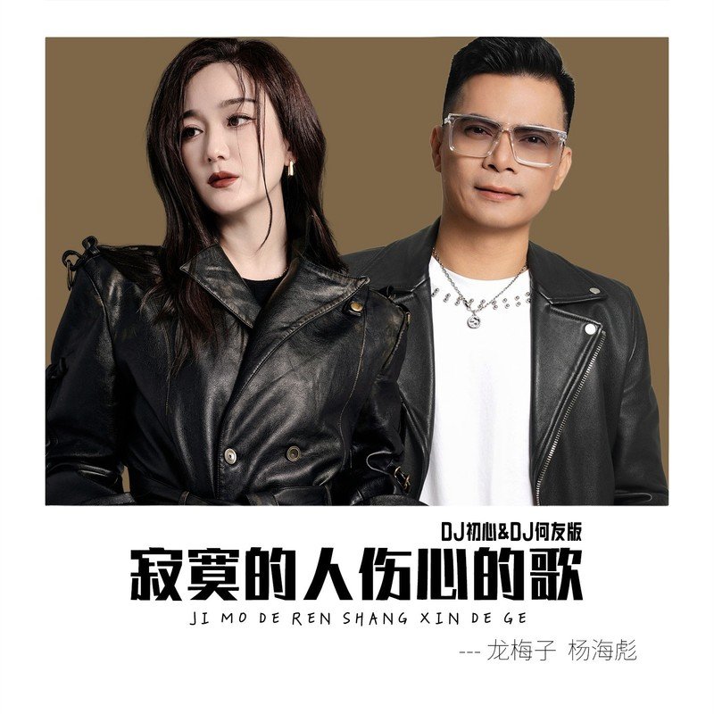 龙梅子 ·《寂寞的人伤心的歌（DJ初心&DJ何友版）》