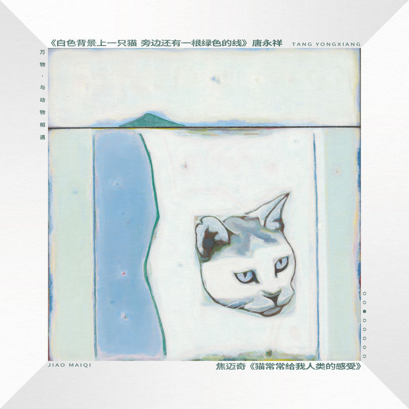 焦迈奇-《猫常常给我人类的感受》