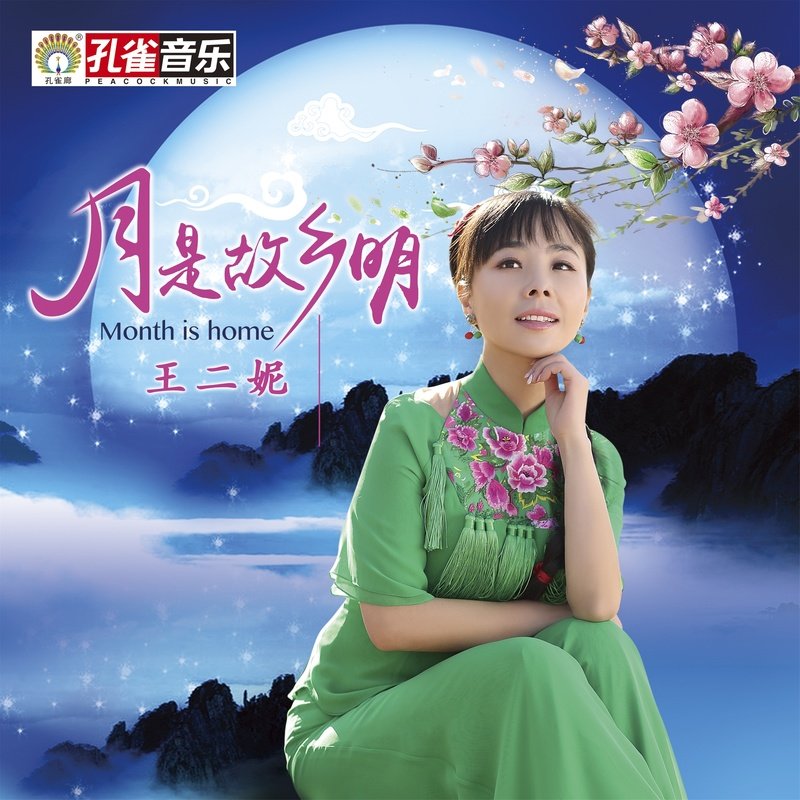 王二妮-《月是故乡明》