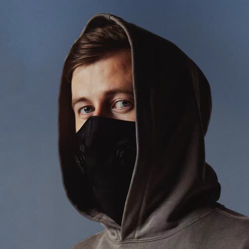 Alan Walker 8首单曲 24-44