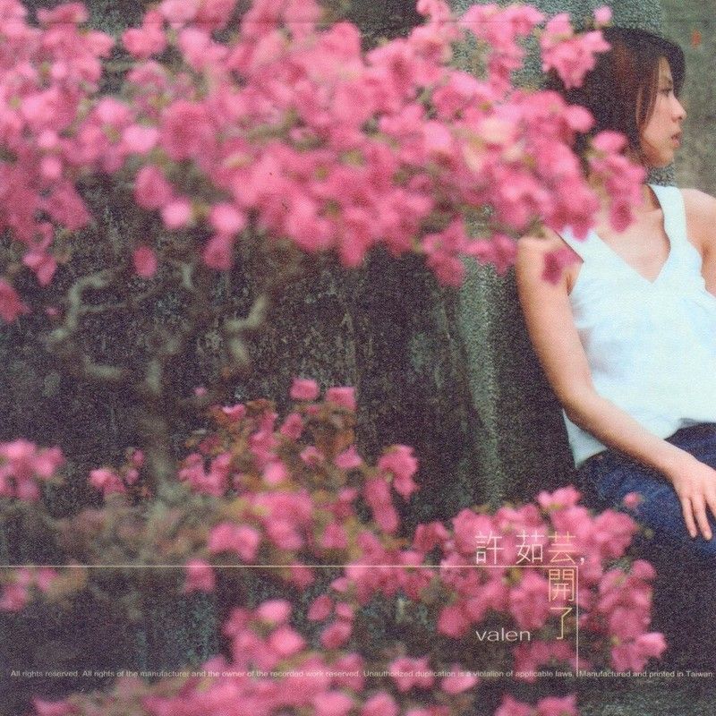许茹芸-《芸开了》