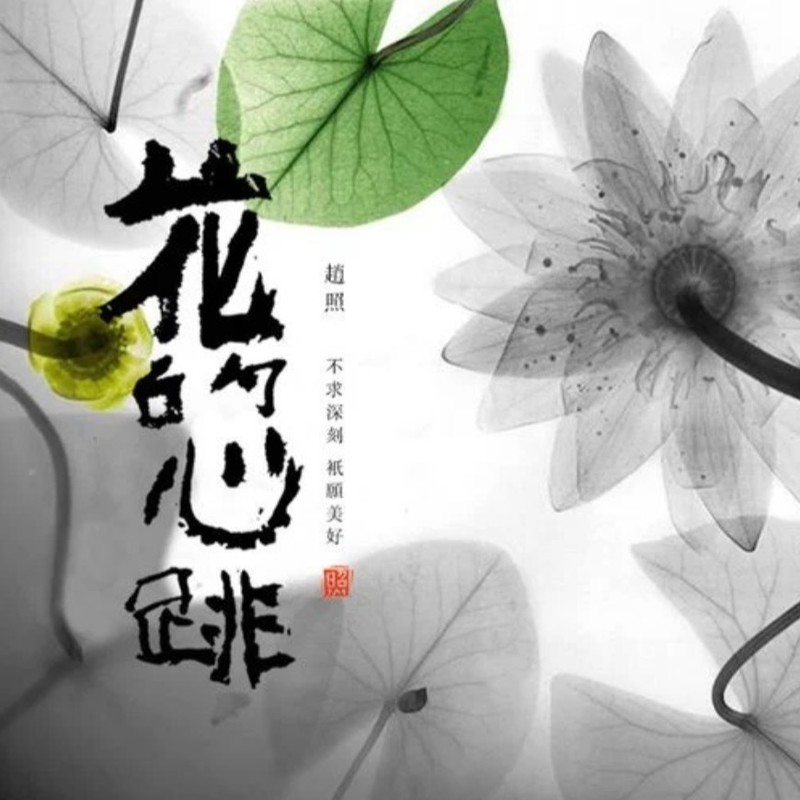 赵照-《花的心跳》