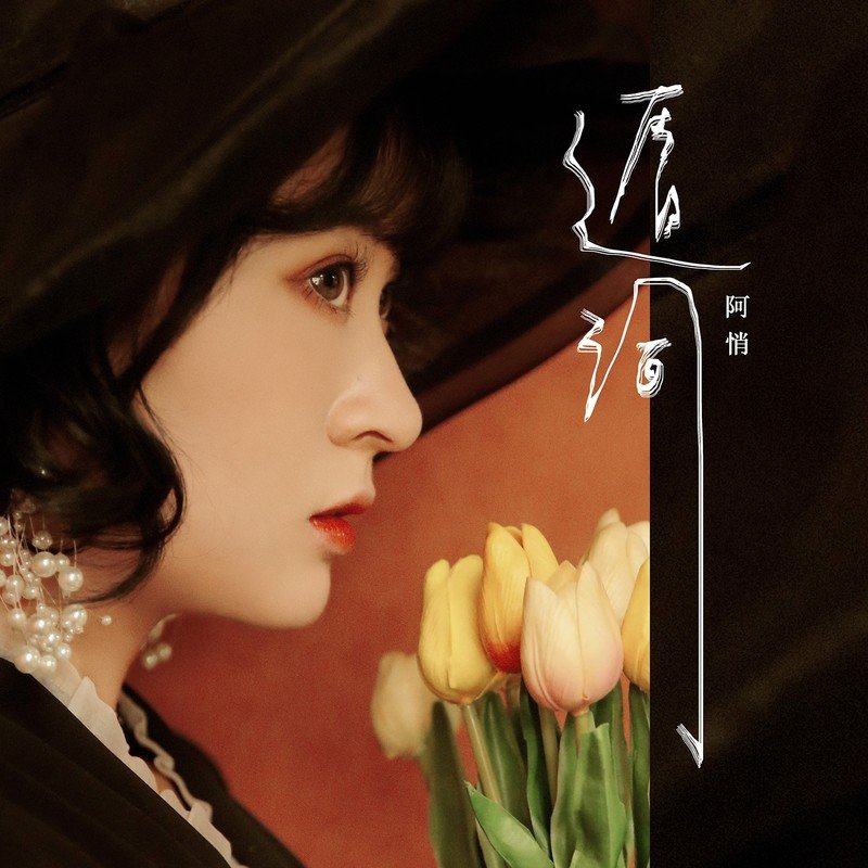 阿悄-《遁词》