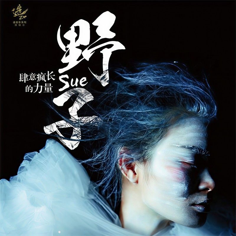 苏运莹-《“野子—肆意疯长的力量”苏运莹2016北京个人演唱会》