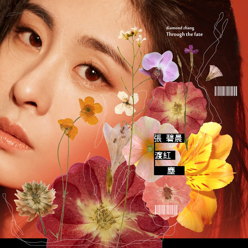 张碧晨-《渡红尘》