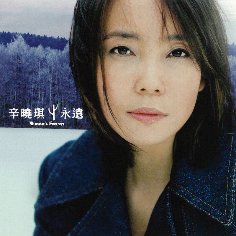 辛晓琪-《永远》