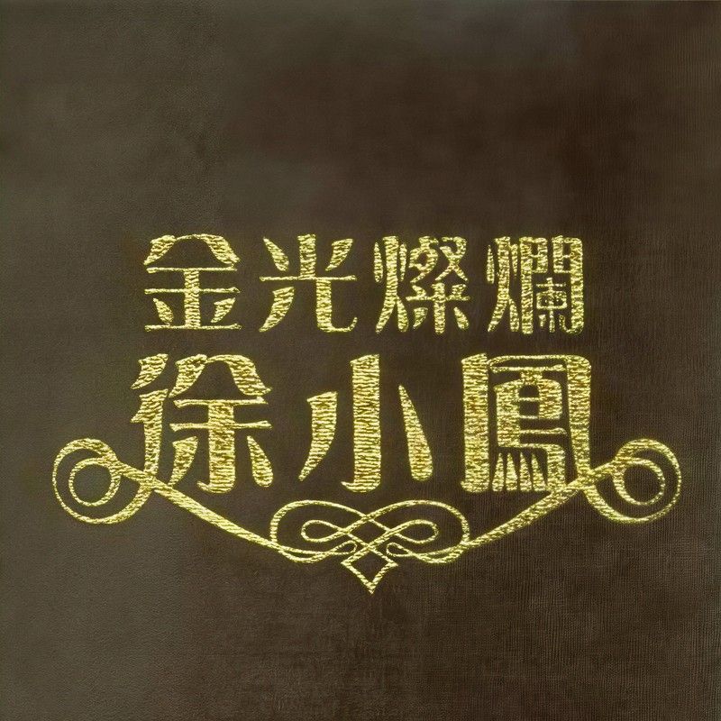 徐小凤-《金光灿烂 徐小凤》