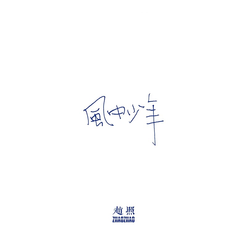 赵照-《风中少年》