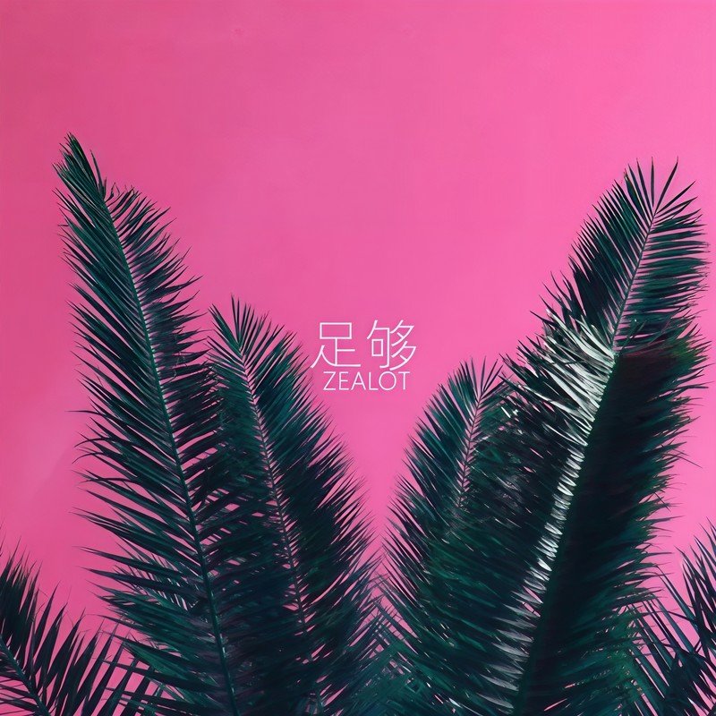 Zealot周星星-《足够》