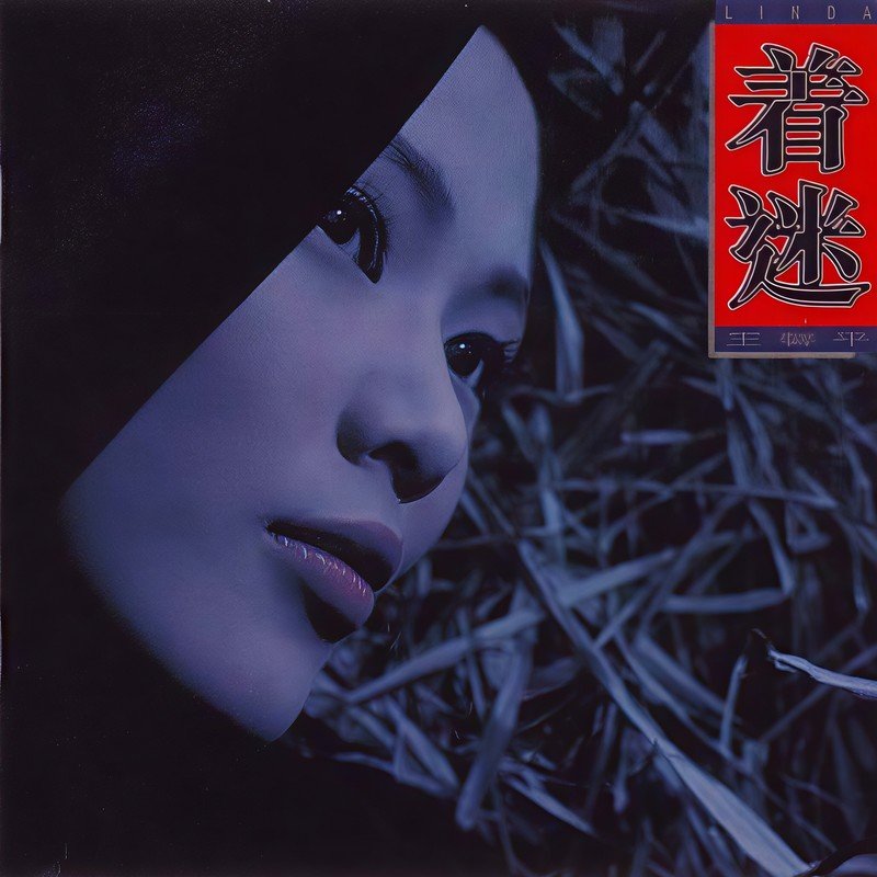 王馨平-《着迷》