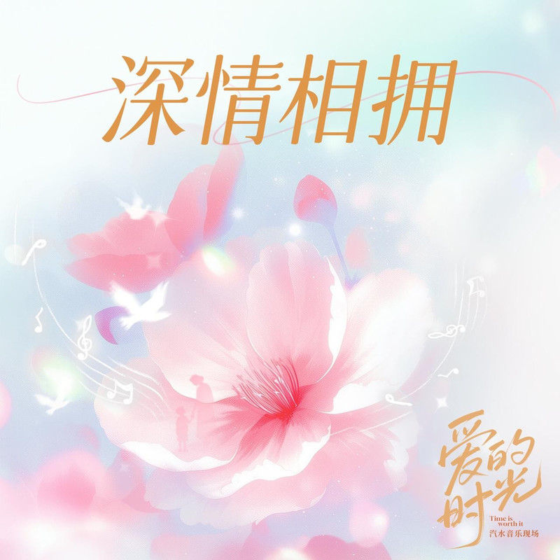 辛晓琪-《深情相拥 (Live)》