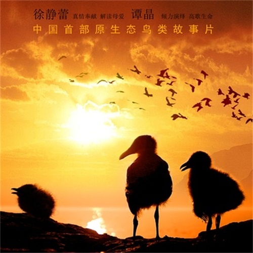 谭晶-《通天的道》