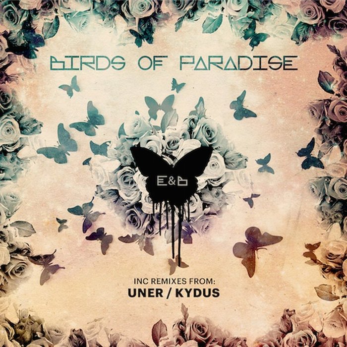 Eagles-《Birds of Paradise》