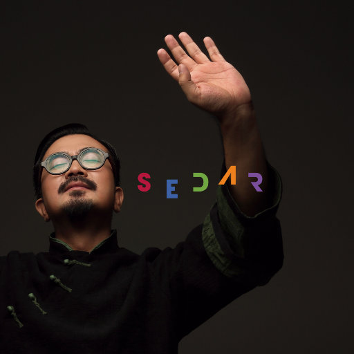 秦四风：SEDAR