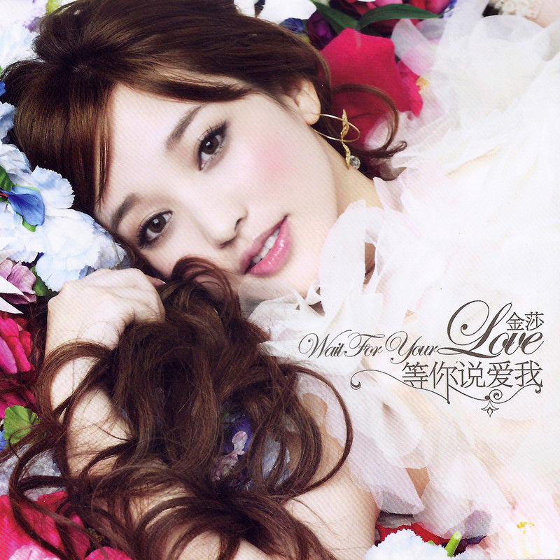金莎-《等你说爱我》