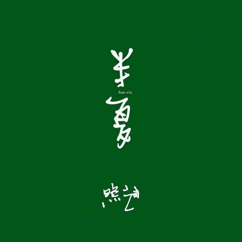 赵照-《半夏》