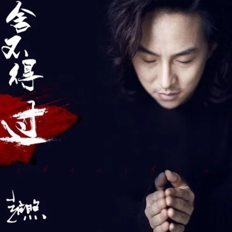 赵照-《舍不得过》
