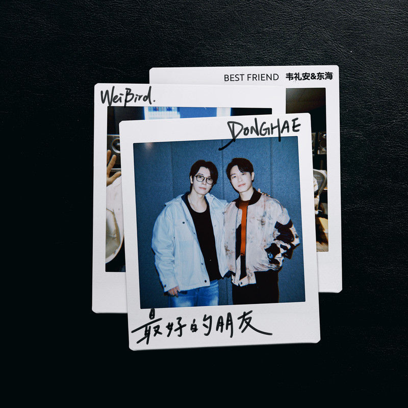 韦礼安-《最好的朋友》