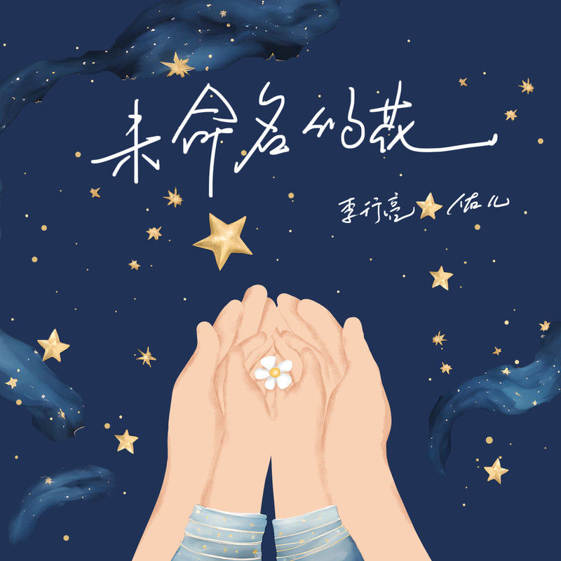 李行亮-《未命名的花》