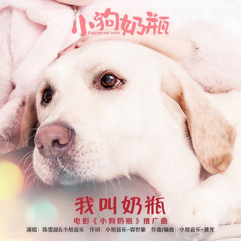 陈雪凝-《我叫奶瓶》