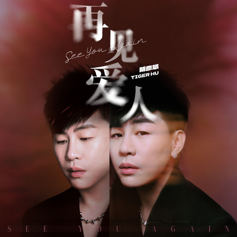 胡彦斌-《再见爱人》