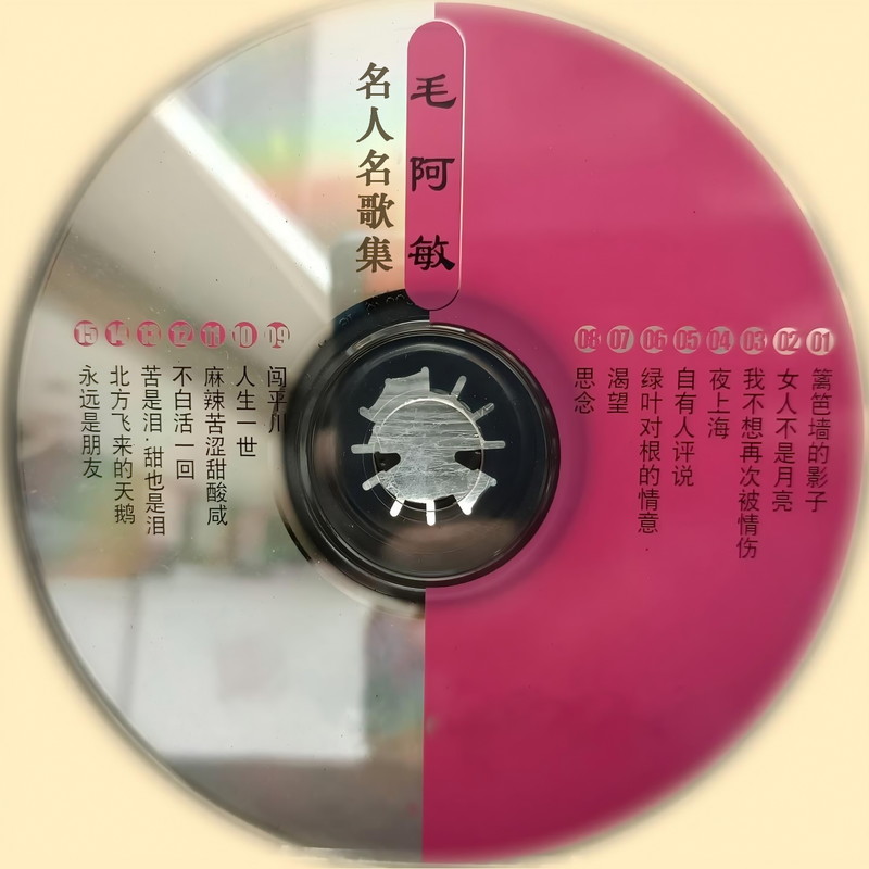 毛阿敏-《名人名歌集》