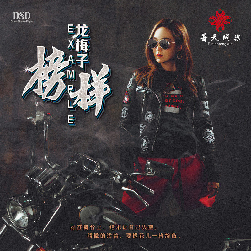 龙梅子-《榜样》