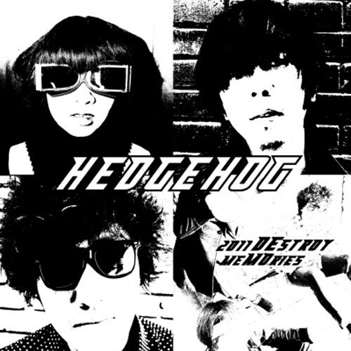 刺猬-《2011 DEstroy meMOries》